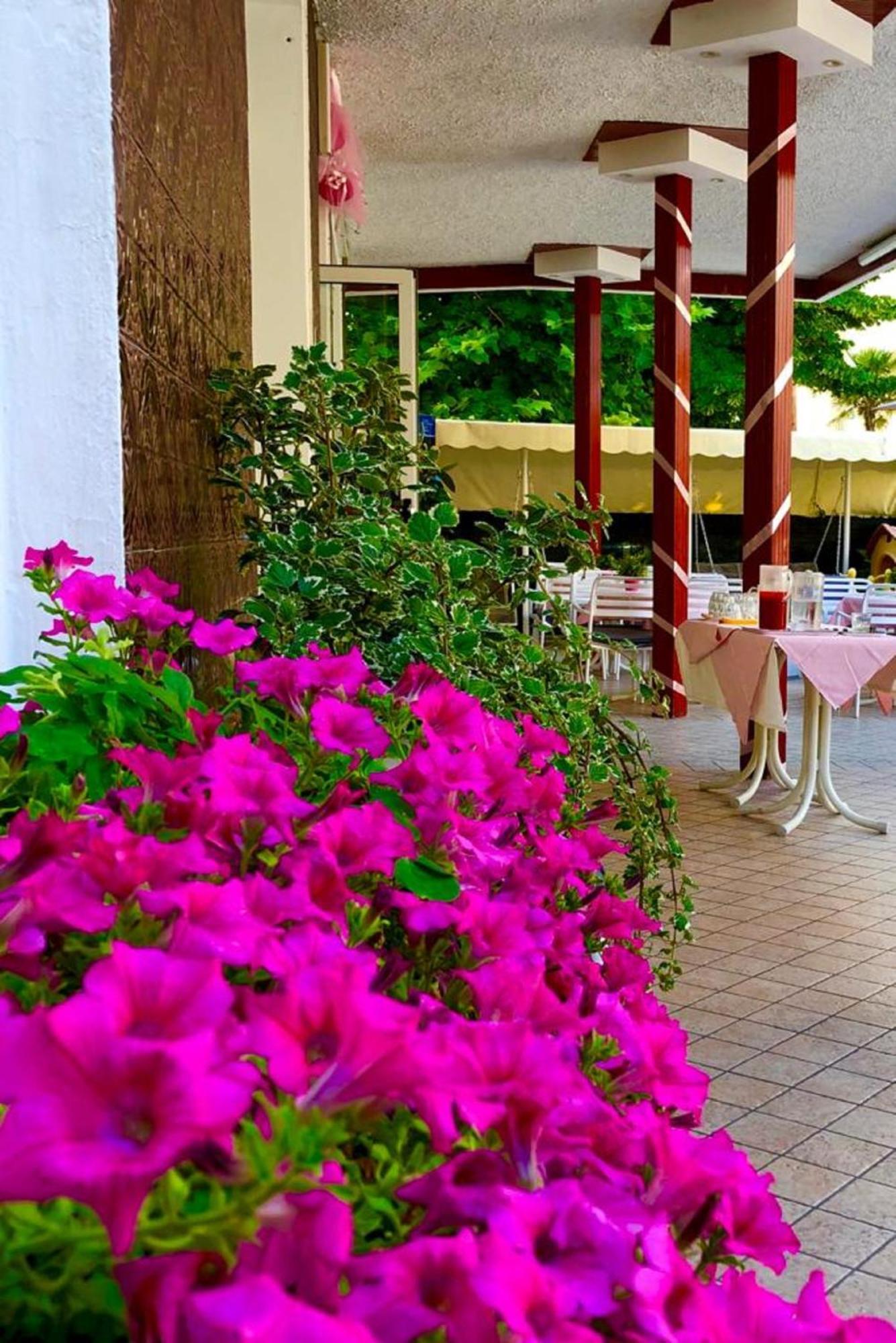 Hotel Alessi** רימיני מראה חיצוני תמונה